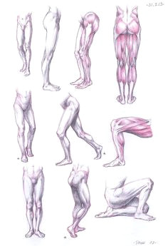 Drawing Girl Legs 329 Best Character Anatomy Legs Images Figure Drawing Drawing