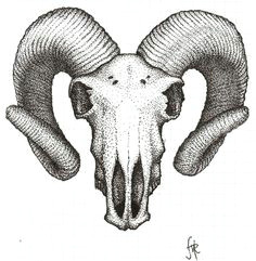 Drawing Goat Skull 30 Best Goat Tattoo Images Draw Drawings Design Tattoos