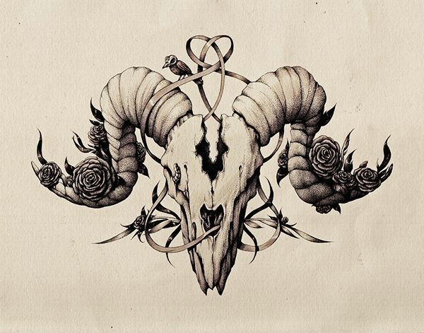 Drawing Goat Skull Ink Pen Skull Drawing On Behance Art Pinterest Tattoos