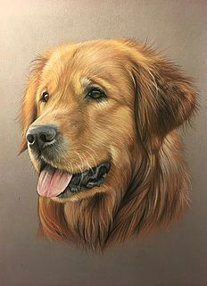 Drawing Golden Dog Golden Retriever Pastel Goldenretrievercolors Dog Breeds Dog