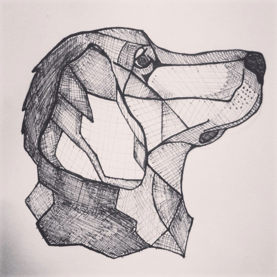 Drawing Golden Dog Inspired by A Tattoo I Saw I Decided to Try Drawing My Golden