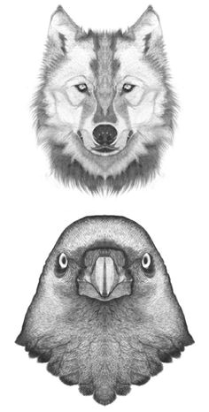 Drawing Half Wolf 109 Best Wolf Images Wolf Drawings Art Drawings Draw Animals