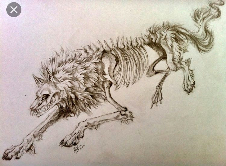 Drawing Half Wolf Half Of A Two Wolves Tattoo Concept I Want to Get Rough Idea Not