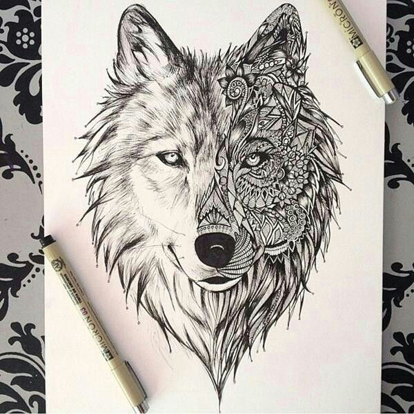 Drawing Half Wolf Wolf Drawing Tattoos and Drawings