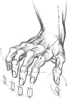 Drawing Hands 101 115 Best How to Draw Hands Images In 2019 How to Draw Hands