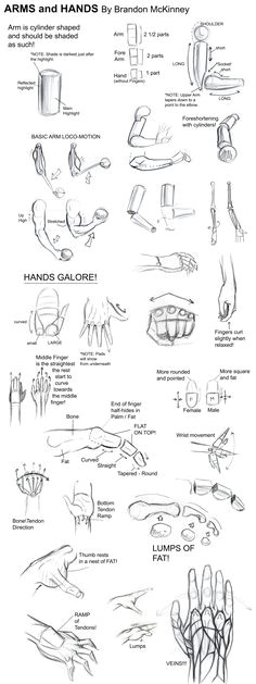 Drawing Hands Basic Shapes 1288 Best Basic Drawing Images