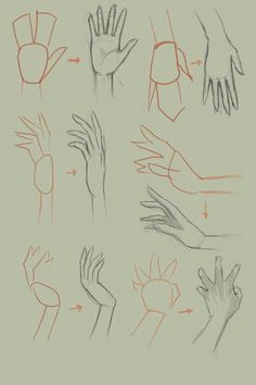 Drawing Hands Basic Shapes 1288 Best Basic Drawing Images