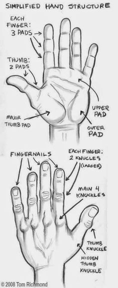 Drawing Hands In 3d 312 Best Hands and Feets Images In 2019 Figure Drawing Sketches