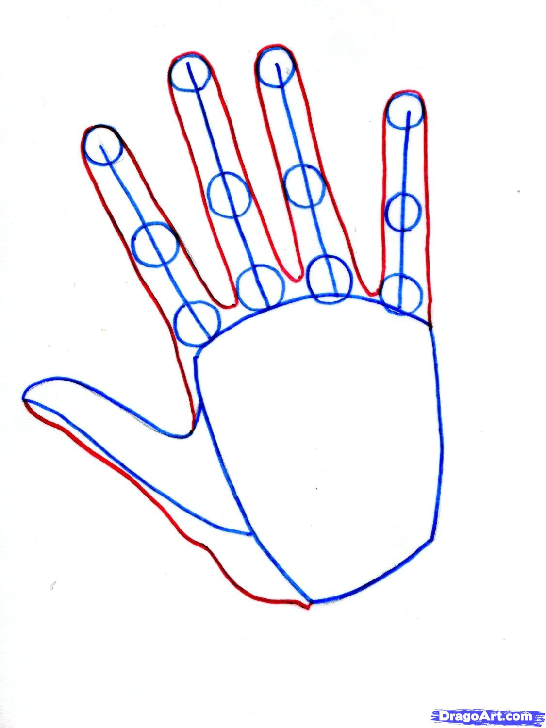 Drawing Hands In Steps How to Draw Hands