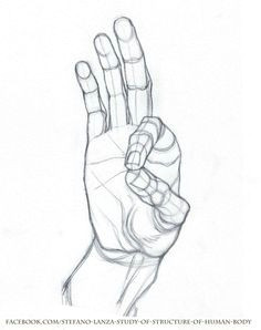 Drawing Hands Lesson Plan 198 Best Hands Images Drawing Techniques How to Draw Hands Ideas