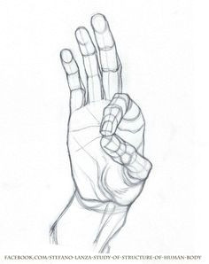 Drawing Hands Lesson Plan 198 Best Hands Images Drawing Techniques How to Draw Hands Ideas