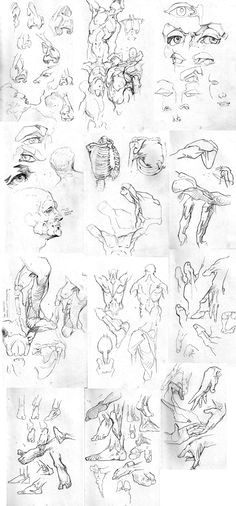 Drawing Hands Pdf 101 Best George Bridgman Images Figure Drawing Figure Drawings
