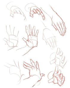 Drawing Hands Pdf 526 Best Figure Drawing Arms Hands Images