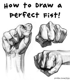 Drawing Hands Proko 61 Best Anatomy for Artists Images In 2019 Draw Human Anatomy