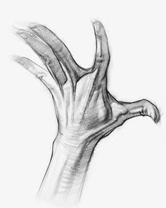 Drawing Hands Proko 61 Best Anatomy for Artists Images In 2019 Draw Human Anatomy