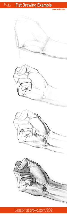 Drawing Hands Proko Proko Stanprokopenko On Pinterest