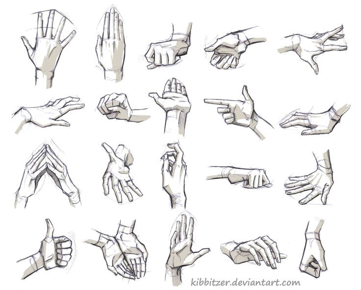 Drawing Hands Ref Image Result for Bending Over Drawing Ref Anatomy Pinterest