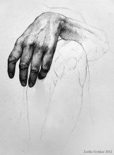 Drawing Hands Shading 112 Best Drawing Hands Images In 2019 Drawing Techniques How to