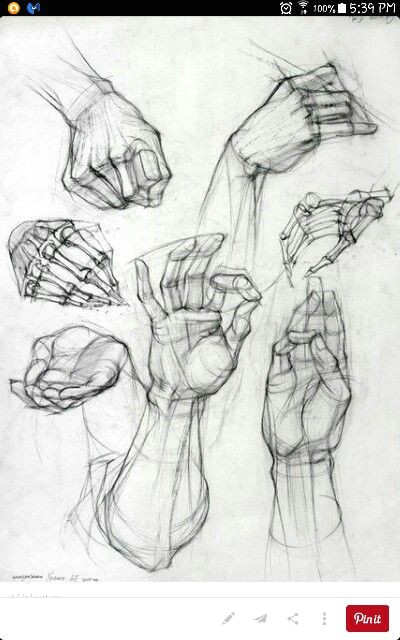 Drawing Hands Study Hand Sketches Desenhos Pinterest Hand Sketch Sketches and