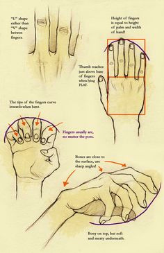 Drawing Hands Victor Perard Pdf 83 Best Drawing Hands Images Drawing Techniques Drawing Tutorials