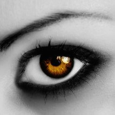 Drawing Hazel Eyes 734 Best Amber Eyes Images Drawings Character Ideas Character Art
