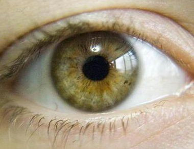 Drawing Hazel Eyes Green Eye Color Chart Eyes May Indicate A Strong and Independent