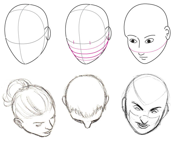 Drawing Head Shapes Human Anatomy Fundamentals Basics Of the Face