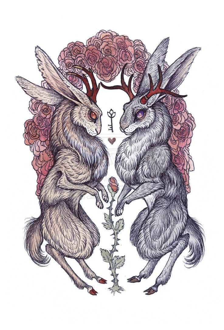 Drawing Heart Deviantart Rare Hearts by Caitlinhackett On Deviantart Art Art Art Prints