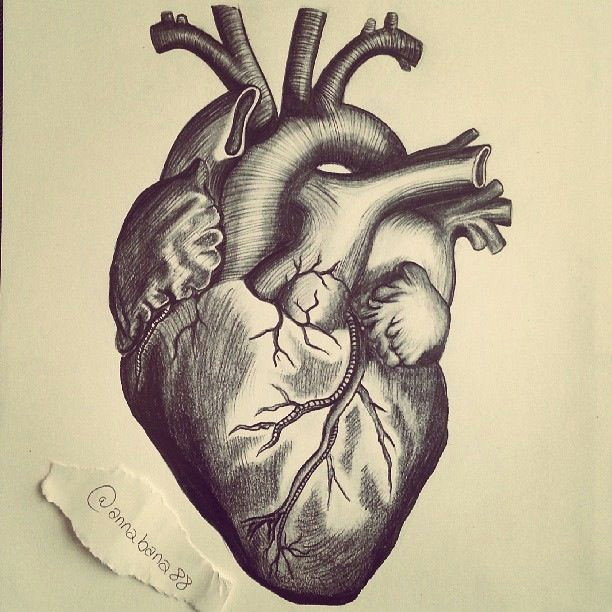 Drawing Heart with Pencil Pin by Amanda Z On Heart Tattoos Heart Tattoo Designs Brain Tattoo