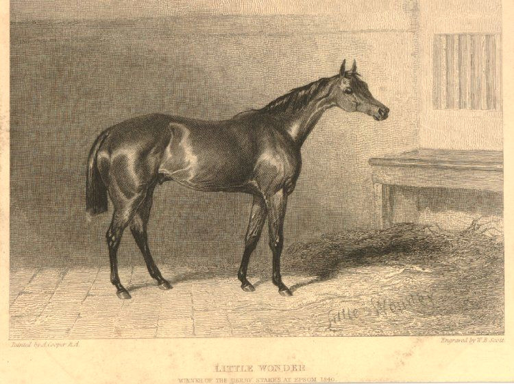 Drawing Horse Bench A Race Horse Standing to Right In A Stable Bench and Barred Window