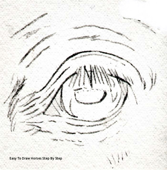 Drawing Horse Eye Easy to Draw Horses Step by Step Draw Horse Eyes Step by Step