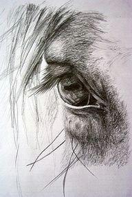 Drawing Horse Eye Pin by Zuzia On Rysunki Konie Pinterest Horse Drawings Horse