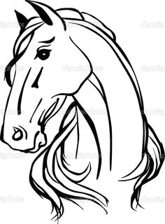 Drawing Horse Eyes 55 Best Woodburning Horses Images Drawings Of Horses Horse