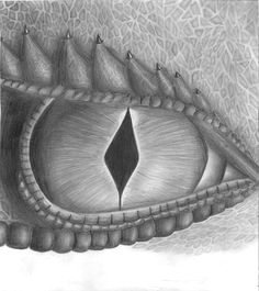 Drawing Hot Eyes 102 Best Dragon Eye Value Drawing Images In 2019 Dragon Eye