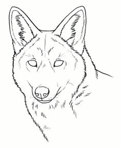 Drawing Hub Wolf 61 Best Wolf Images Wolves Drawing Ideas Drawings