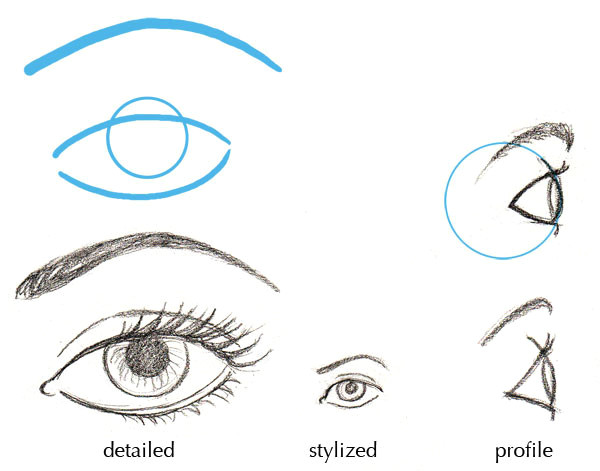 Drawing Human Eyes From the Side Human Anatomy Fundamentals Basics Of the Face