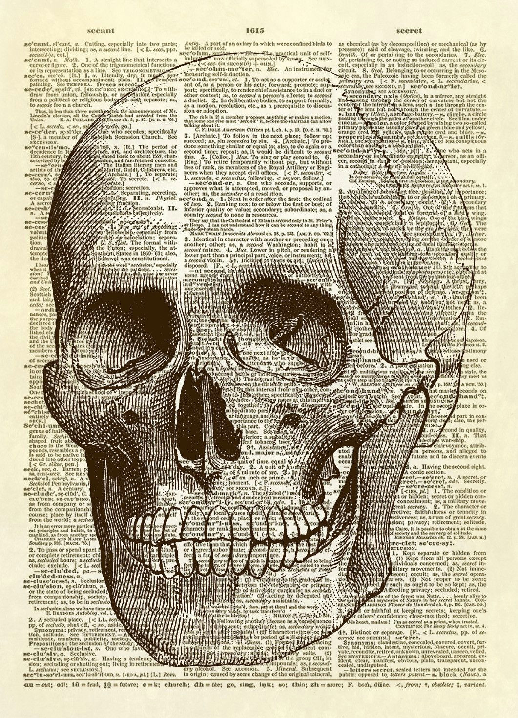 Drawing Human Skull Anatomy Human Skull Dictionary Art Print Smash and Scrap Art Dictionary