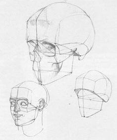 Drawing Human Skull Tutorial 174 Best Anatomy Reference Head Neck Skull Images Drawing Heads