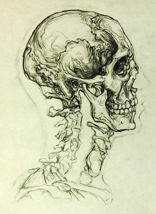 Drawing Human Skulls Pin Od Oskar Rachwalski Na Design Illustration Pinterest Skull