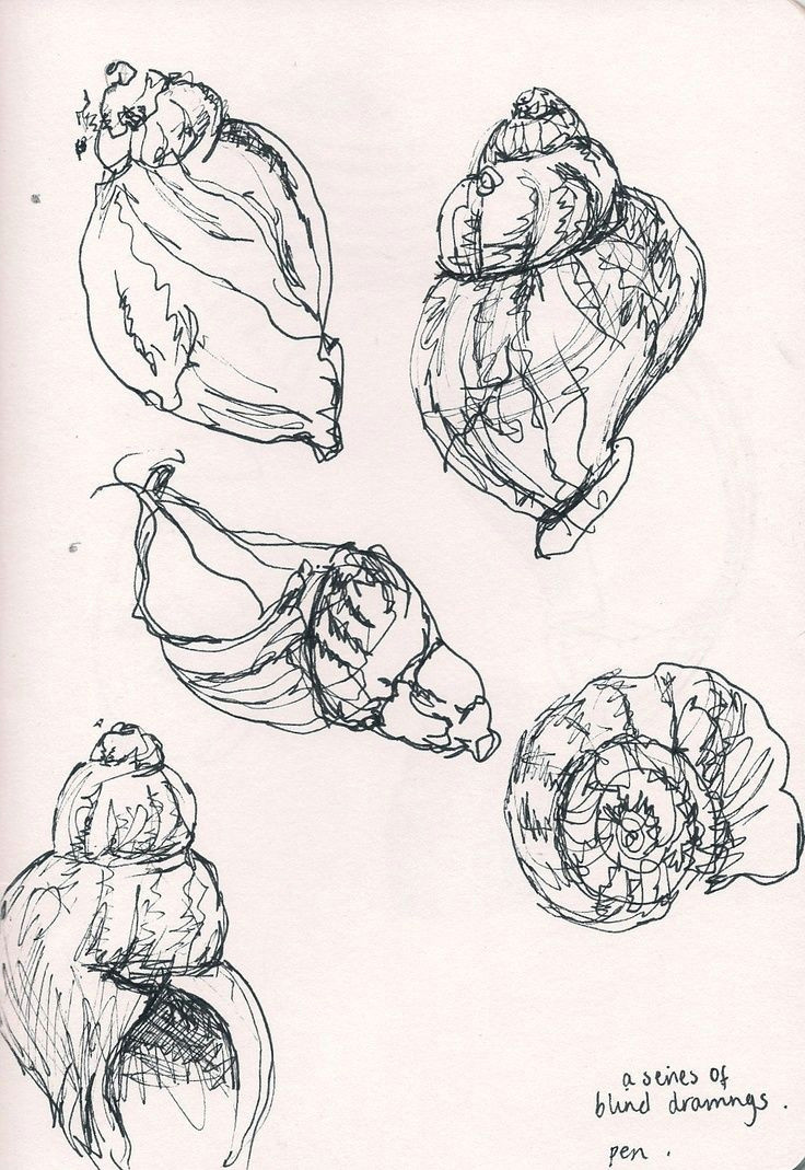 Drawing Ideas About Nature Pin by Eva On Natural forms Pinterest Sketchbooks Drawings and