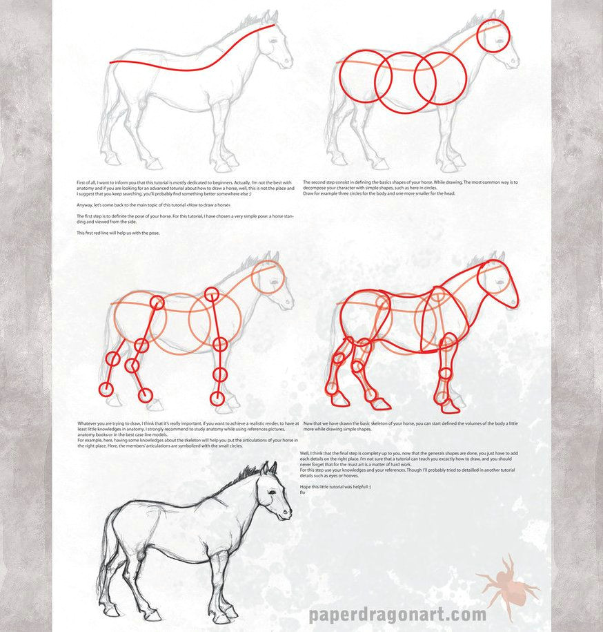Drawing Ideas Advanced How to Draw Horse Drawings Pinterest Horse Drawings and Art