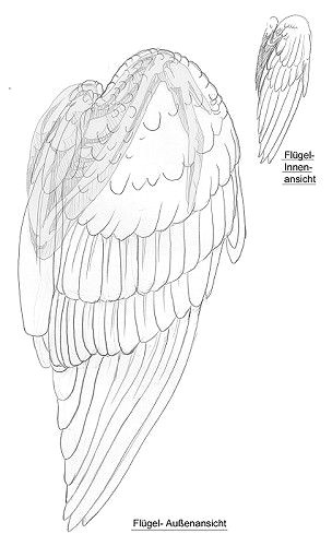 Drawing Ideas Birds Pin by Amber Xie On Birds Pinterest Drawing Ideas Artsy Fartsy