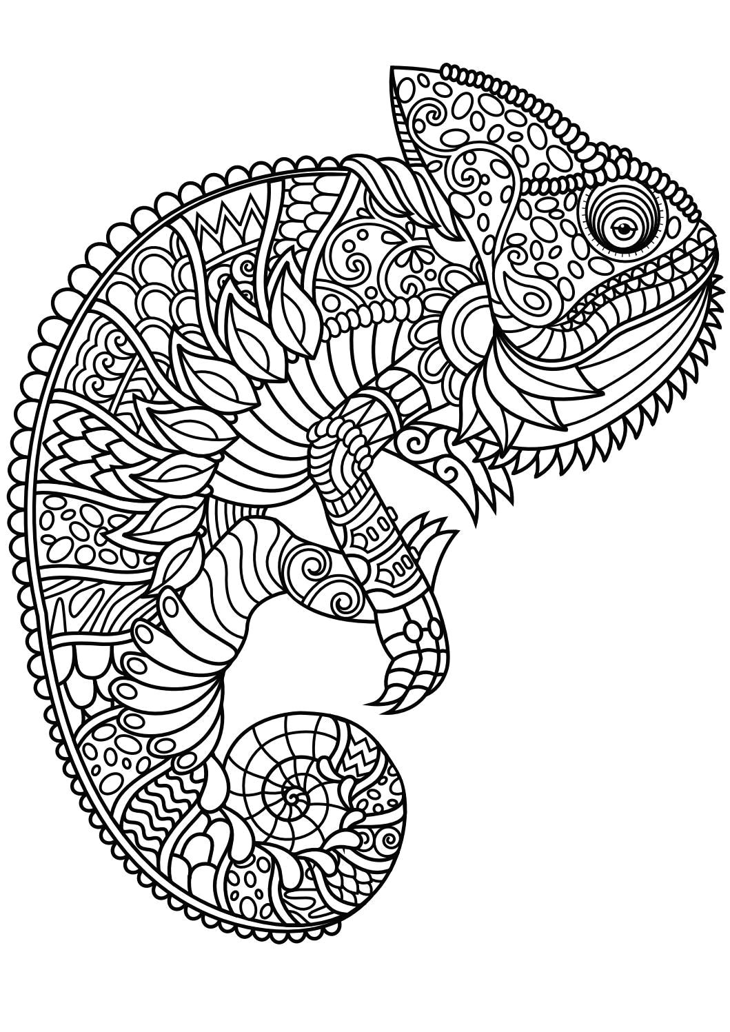 Drawing Ideas Book Pdf Animal Coloring Pages Pdf Coloring Animals Coloring Pages