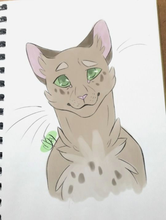Drawing Ideas Cats Aaaa I Love Your Art Style so Much Can You Do Thrushpelt