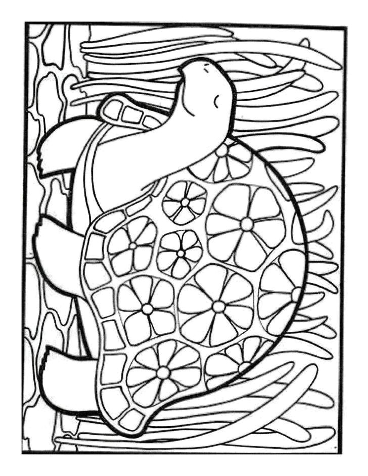 Drawing Ideas Circle Make Coloring Pages From Photos Awesome Kids Coloring Page Simple
