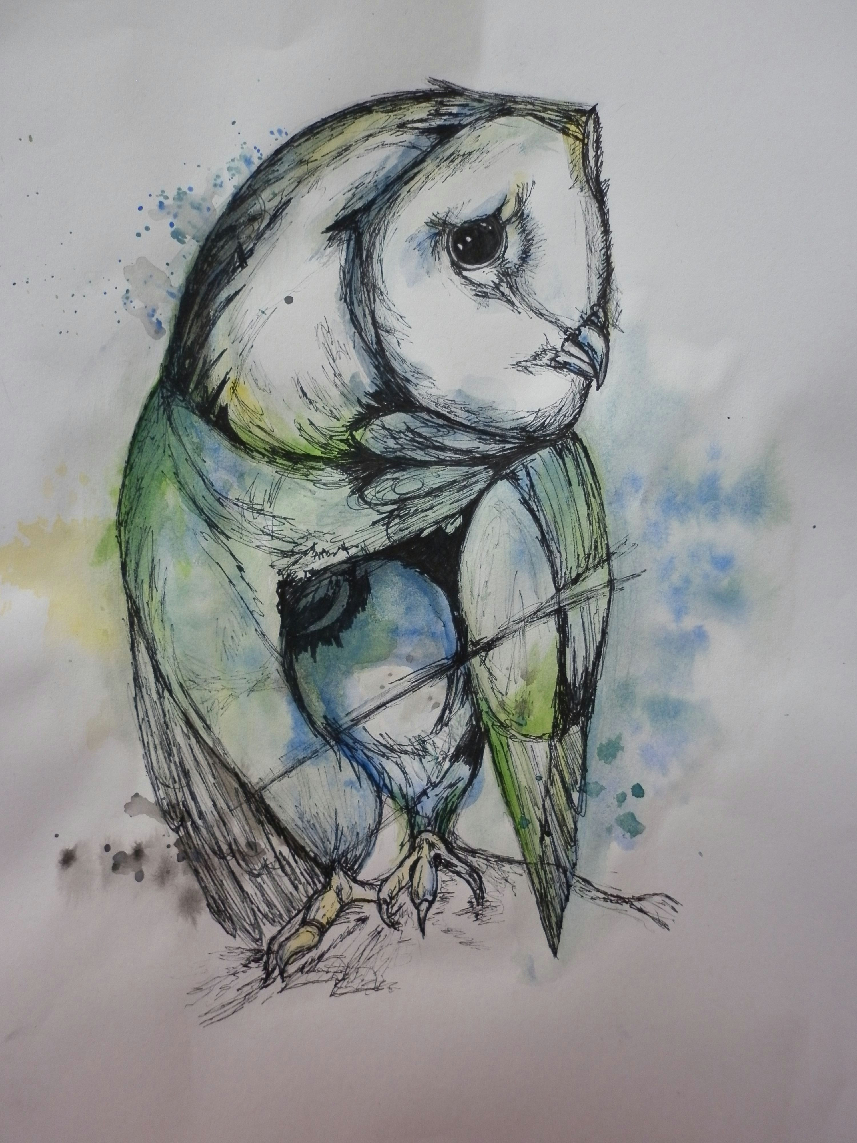Drawing Ideas Colourful Drawing Of An Owl Working From Abby Diamonds Work Using Watercolour