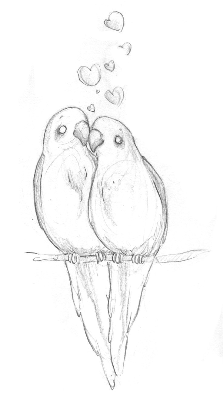 Drawing Ideas Cute Animals Image Result for Drawing Ideas for Beginners Birds Pencil