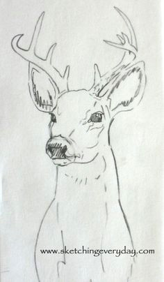 Drawing Ideas Deer 199 Best Deer Sketches Images Deer Sketch Deer Drawing