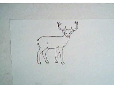 Drawing Ideas Deer How to Draw A Buck Deer Simple Drawing Lesson Deer Drawings