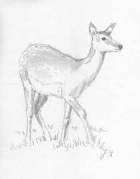 Drawing Ideas Deer Image Result for Deer Line Drawing Doe Wood Burning Ideas and